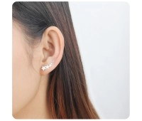 Silver Star Shaped Earrings EL-3573 